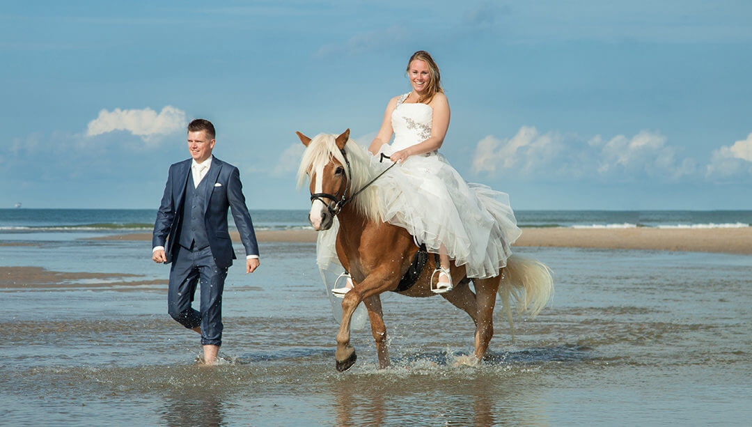 Huwelijk met paard