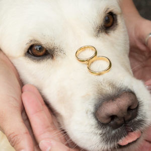 Huwelijk met hond