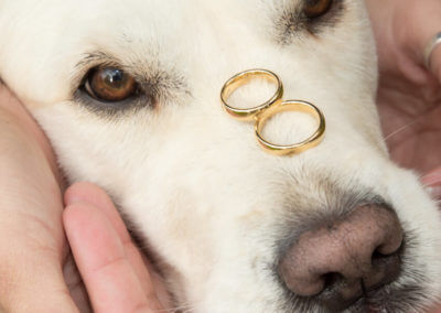 Huwelijk met hond